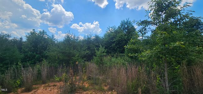 20240613_151626 | Image 23