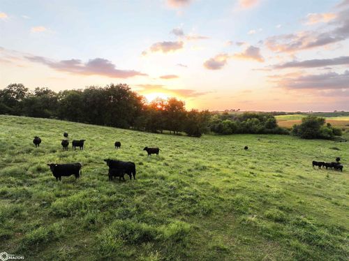 15985 210th St, Sigourney, IA, 52591-8121 | Card Image