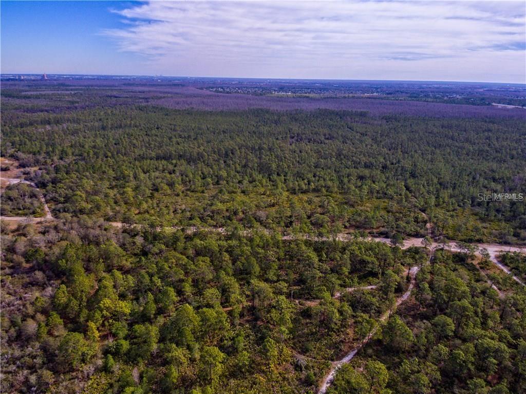 Land in ORLANDO 5