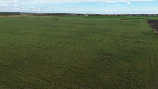 DJI_0011.JPG | Image 5