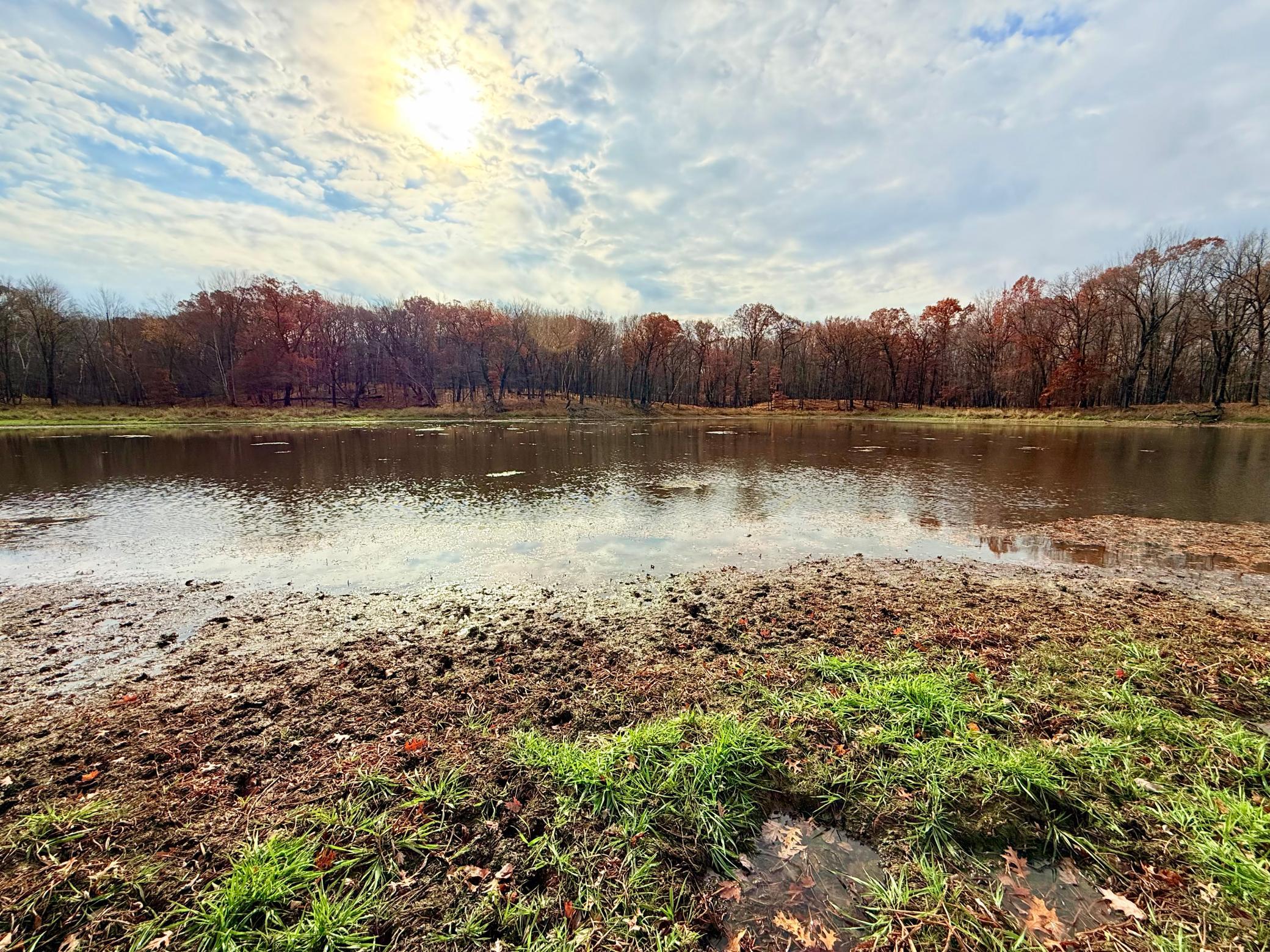 Land in Amery