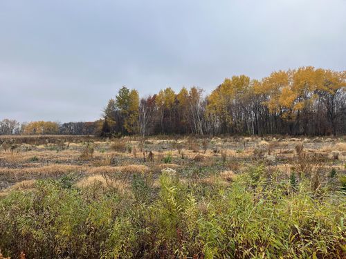 TBD (Lot 2) Brunswick Rd Ne, Stanchfield, MN, 55080 | Card Image