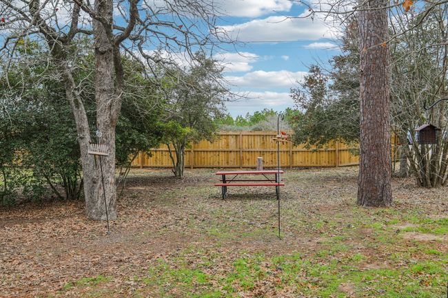 View of yard | Image 32