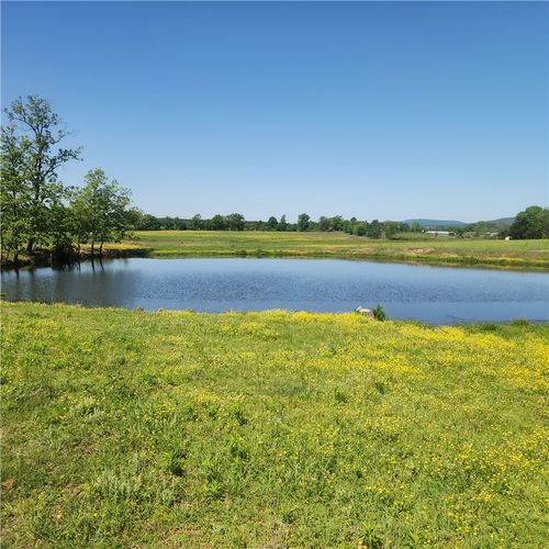 933 Walnut Rd, Hector, AR, 72843-8784 | Card Image