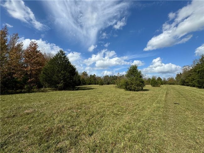1 Seneca Street Ext, Home with 0 bedrooms, 0 bathrooms and null parking in Calhoun Falls SC | Image 9