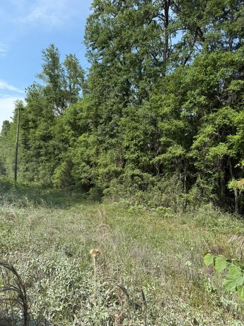 959 Sw Alfalfa Avenue, Lake City, FL, 32024 | Card Image