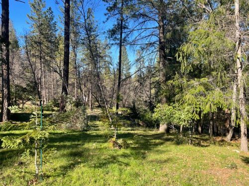 1575 Ridgemore Dr, Meadow Vista, CA, 95722-9373 | Card Image