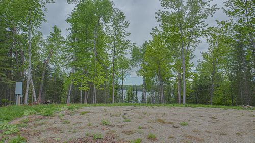 53550 Little Bear Trl, Bigfork, MN, 56628-6003 | Card Image