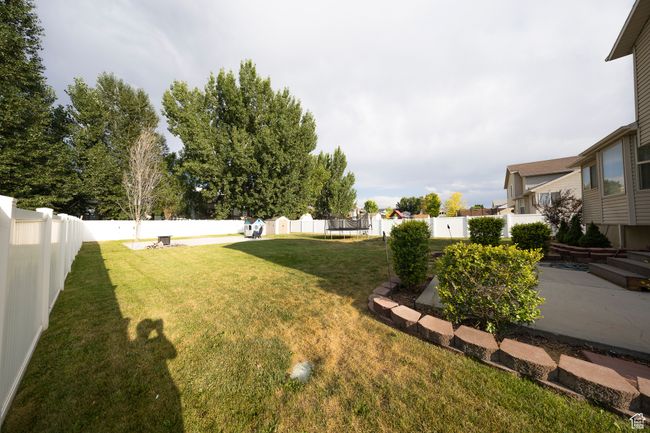 View of fenced backyard | Image 26