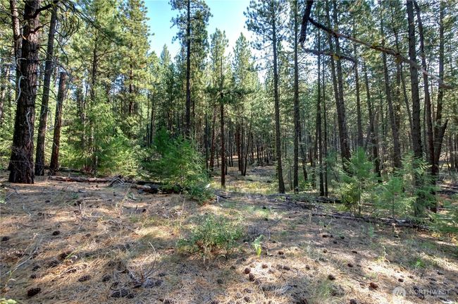 799 Twisp River Rd, Home with 0 bedrooms, 0 bathrooms and null parking in Twisp WA | Image 23