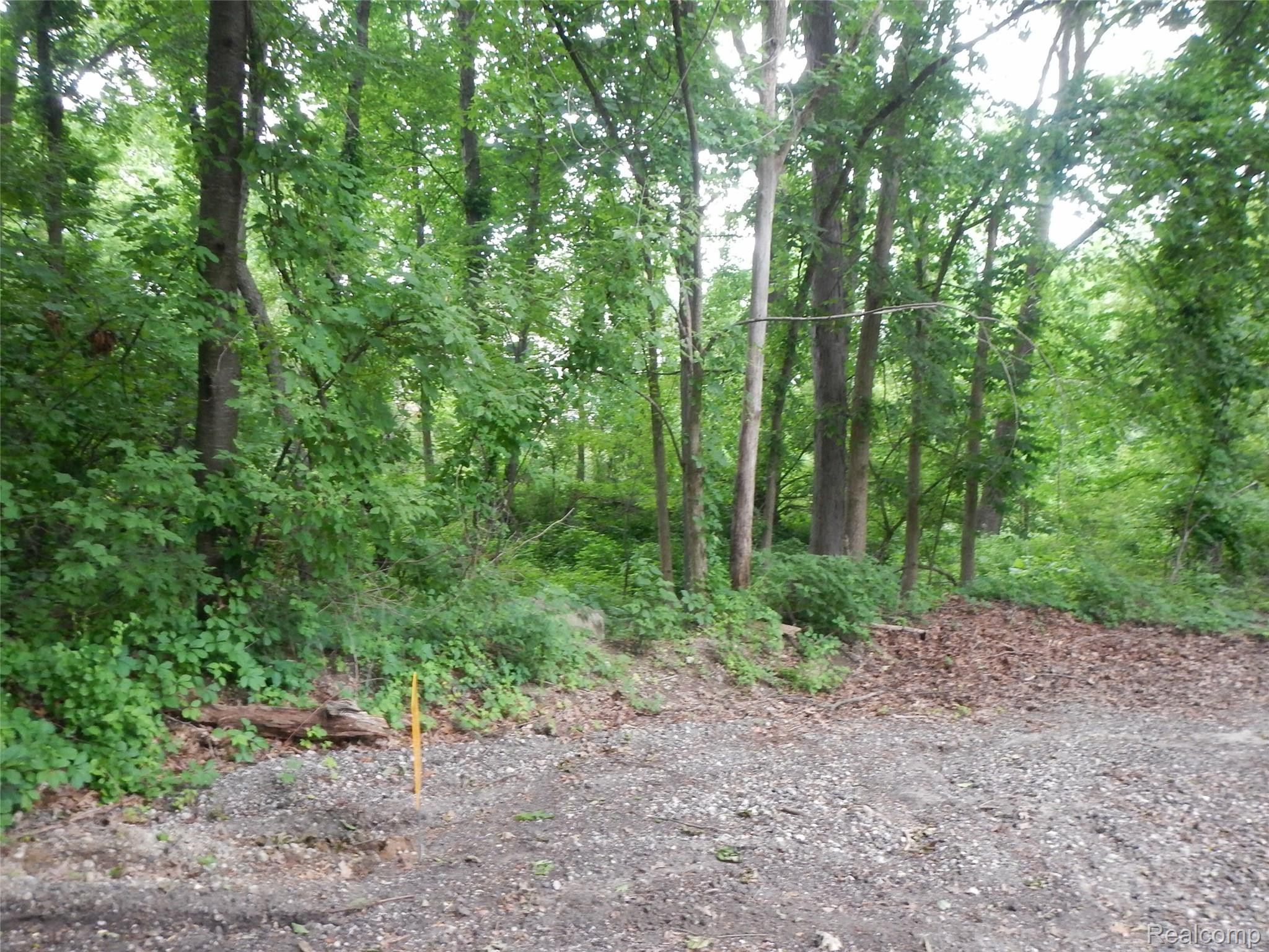 Land in Lake Orion Village