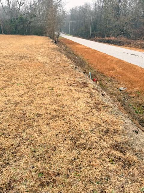 Land in Sumter