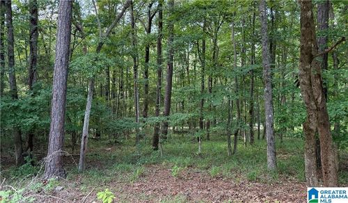 lot-11-0 Bridewell Cir, Mc Calla, AL, 35111 | Card Image