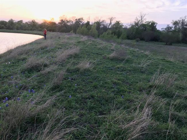 5796 Hurtig Rd, Home with 0 bedrooms, 0 bathrooms and null parking in Bleiblerville TX | Image 22