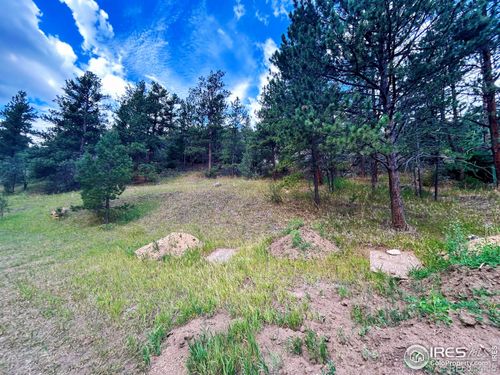 211 Streamside Drive, Glen Haven, CO, 80532 | Card Image