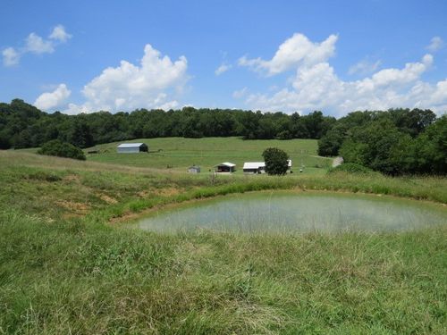 357 Major Rd, Cornersville, TN, 37047-7032 | Card Image