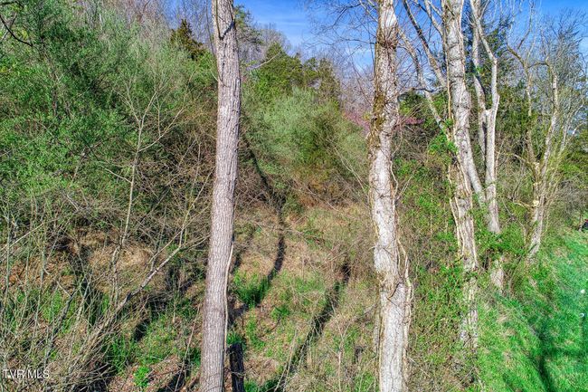 000 Sensabaugh Hollow Rd, Home with 0 bedrooms, 0 bathrooms and null parking in Church Hill TN | Image 8