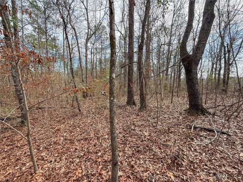 2 Dove Ct, WILSONVILLE, AL, 35186 | Card Image