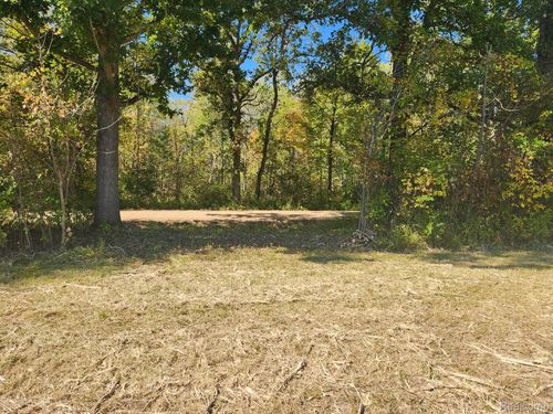 Vacant Land Skelton Road, Deerfield Township, MI, 48421 | Card Image