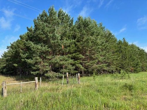 TBD 380th St, Menahga, MN, 56464 | Card Image