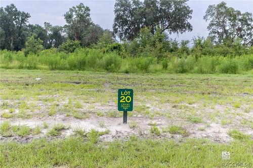 1485 Oxford Preserve Trail, Oxford, FL, 34484 | Card Image