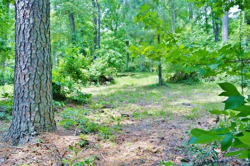 Lot 695 Lake Shore Dr, Coldspring, TX, 77331-4427 | Card Image