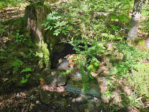 Lot 3.2 Off Parker Road, Lisbon, NH, 03585 | Card Image