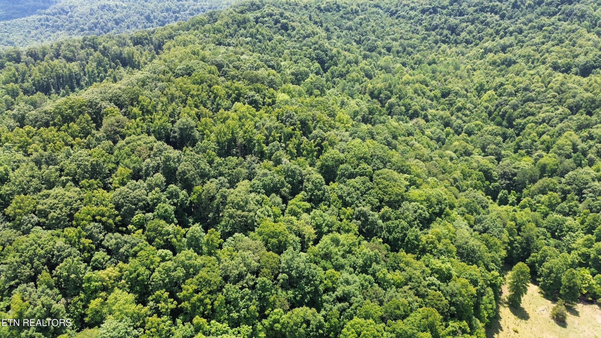 Land in La Follette 4