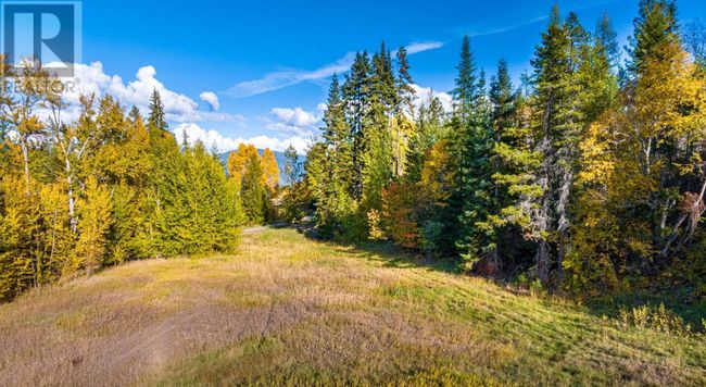 Lot 1 Corn Creek Rd, Home with 0 bedrooms, 0 bathrooms and null parking in Creston BC | Image 20