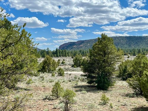 Lot 5 Sagebrush Road, Ramah, NM, 87321 | Card Image