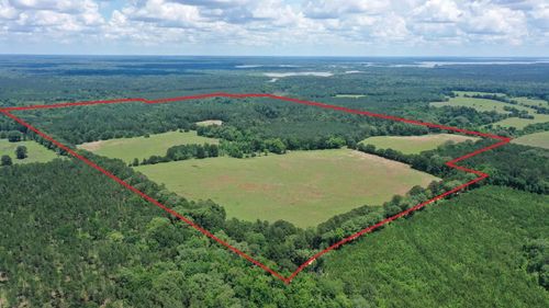 295 County Road 2462, Douglassville, TX, 75560 | Card Image