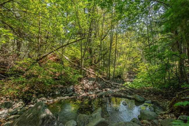 Ripple creek | Image 26