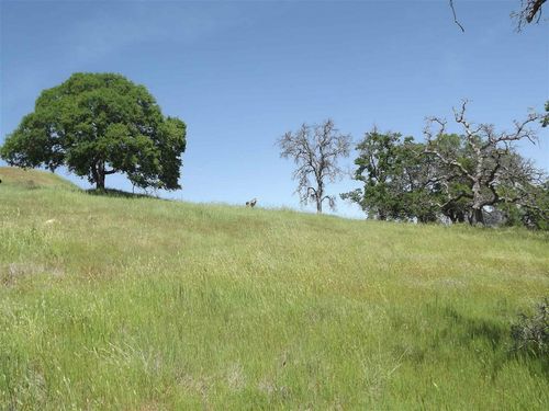 5439 Arbolada Dr, La Grange, CA, 95329-9728 | Card Image