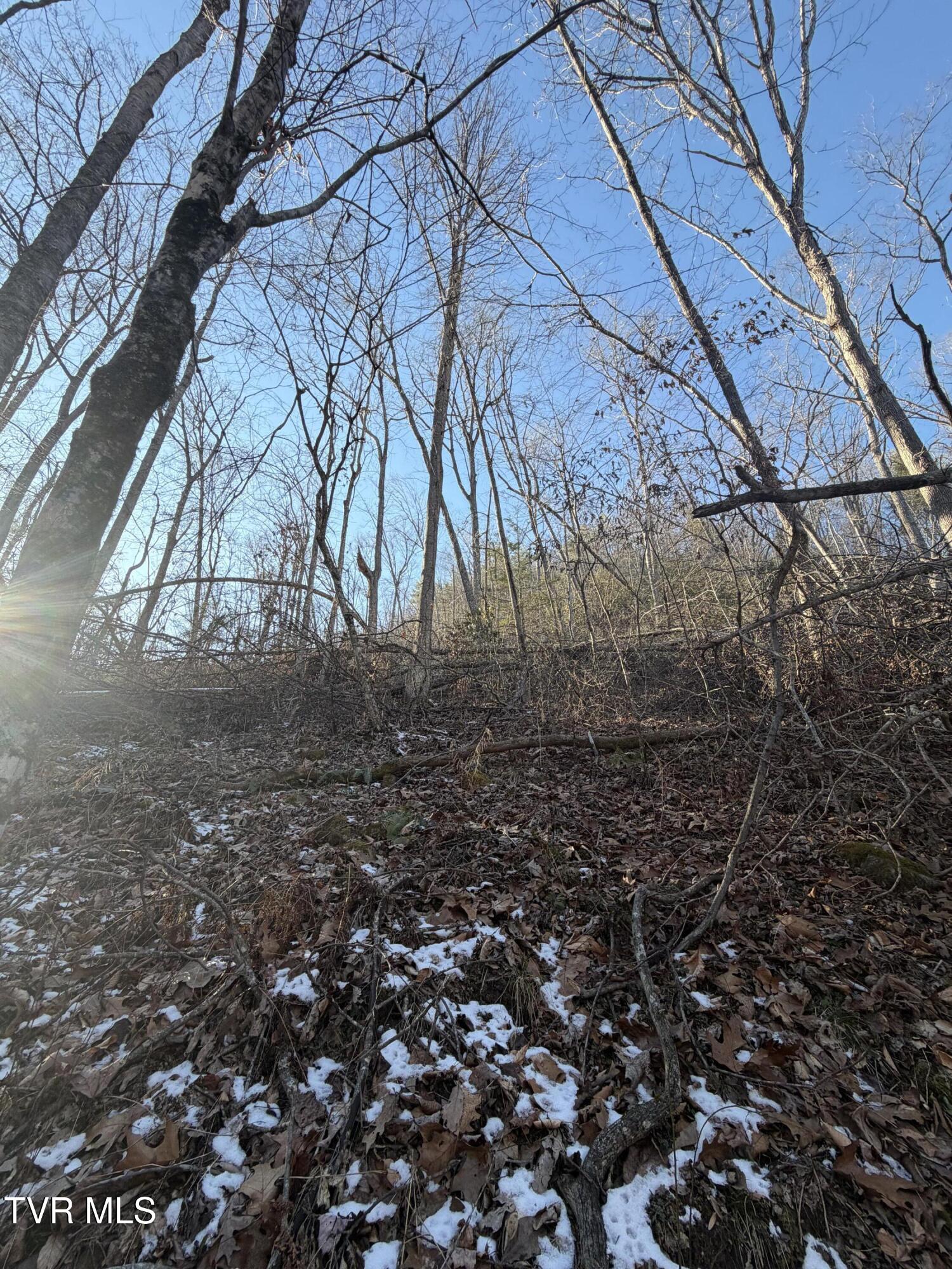 Land in Butler 5
