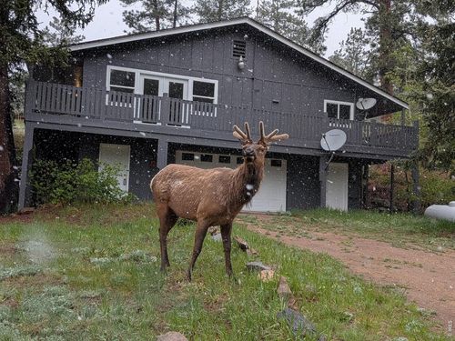 163 West Creek Rd, Glen Haven, CO, 80532 | Card Image