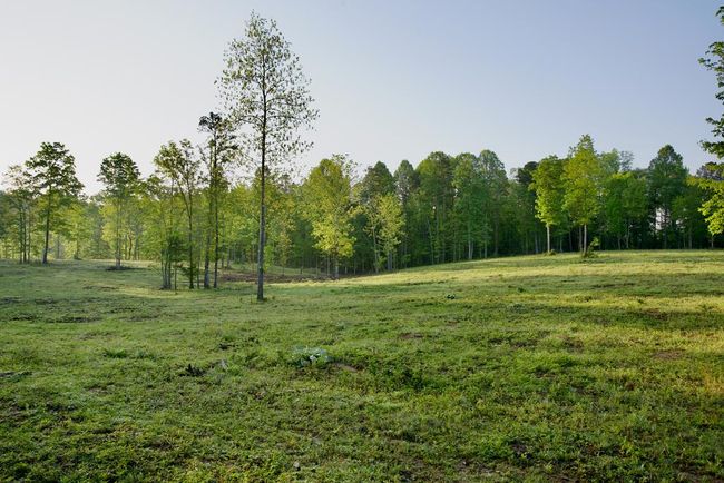40.46AC Barker Cove Loop, Home with 1 bedrooms, 1 bathrooms and null parking in Palmer TN | Image 30