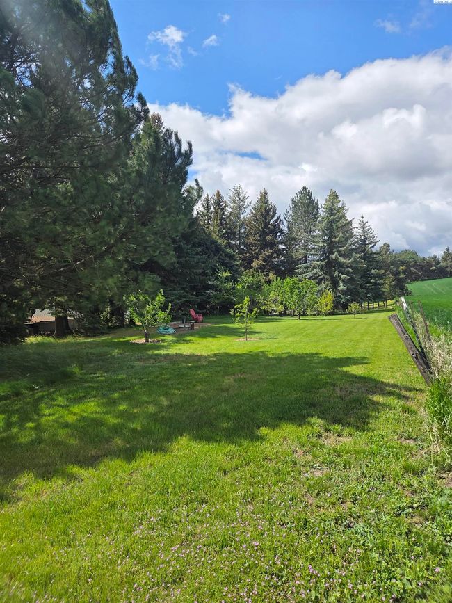 6302 Sand Rd, Home with 4 bedrooms, 3 bathrooms and null parking in Pullman WA | Image 50
