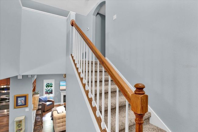 7310 S Shamrock Rd, House other with 4 bedrooms, 4 bathrooms and null parking in TAMPA FL | Image 69