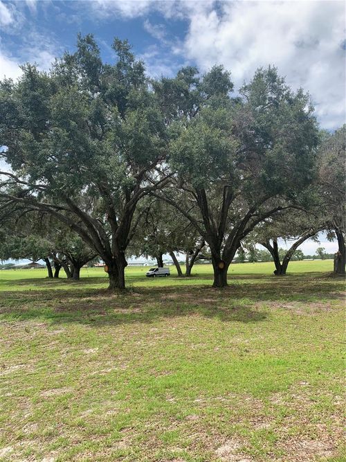 TBD Ne 56th Ct, Anthony, FL, 32617 | Card Image