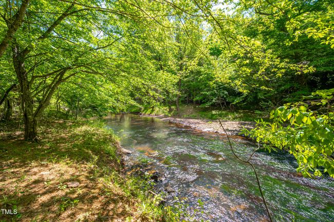 Little River View 02 | Image 49