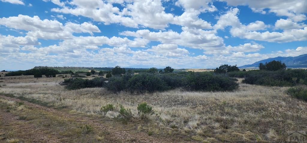Land in Colorado City 4