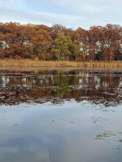 0 W Us Highway 12, Buchanan, MI, 49107 | Card Image