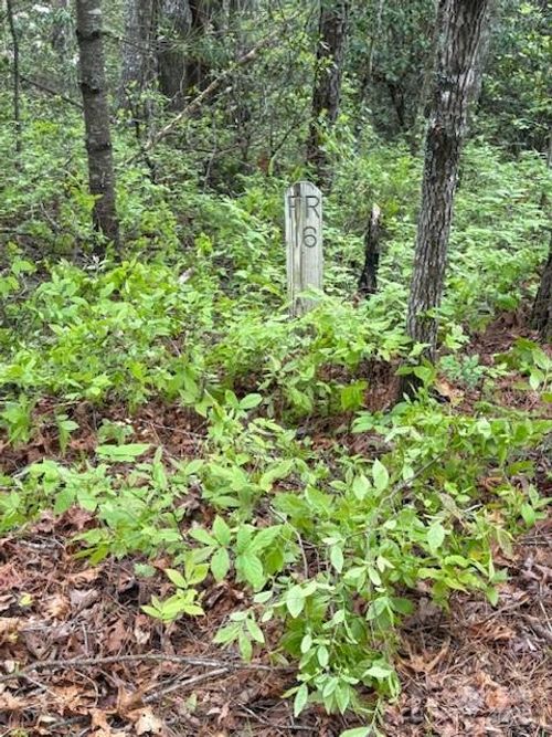 fr-16-FR 16 Opossum Path, Brevard, NC, 28712 | Card Image