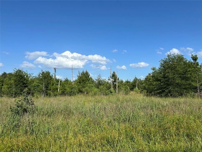 35 Sw Commerce St, Home with 0 bedrooms, 0 bathrooms and null parking in Lovelady TX | Image 10