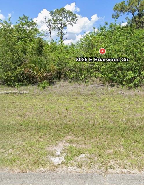 Land in Labelle 5