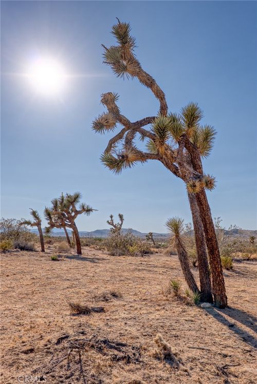107 Juniper Rd, Joshua Tree, CA, 92252 | Card Image