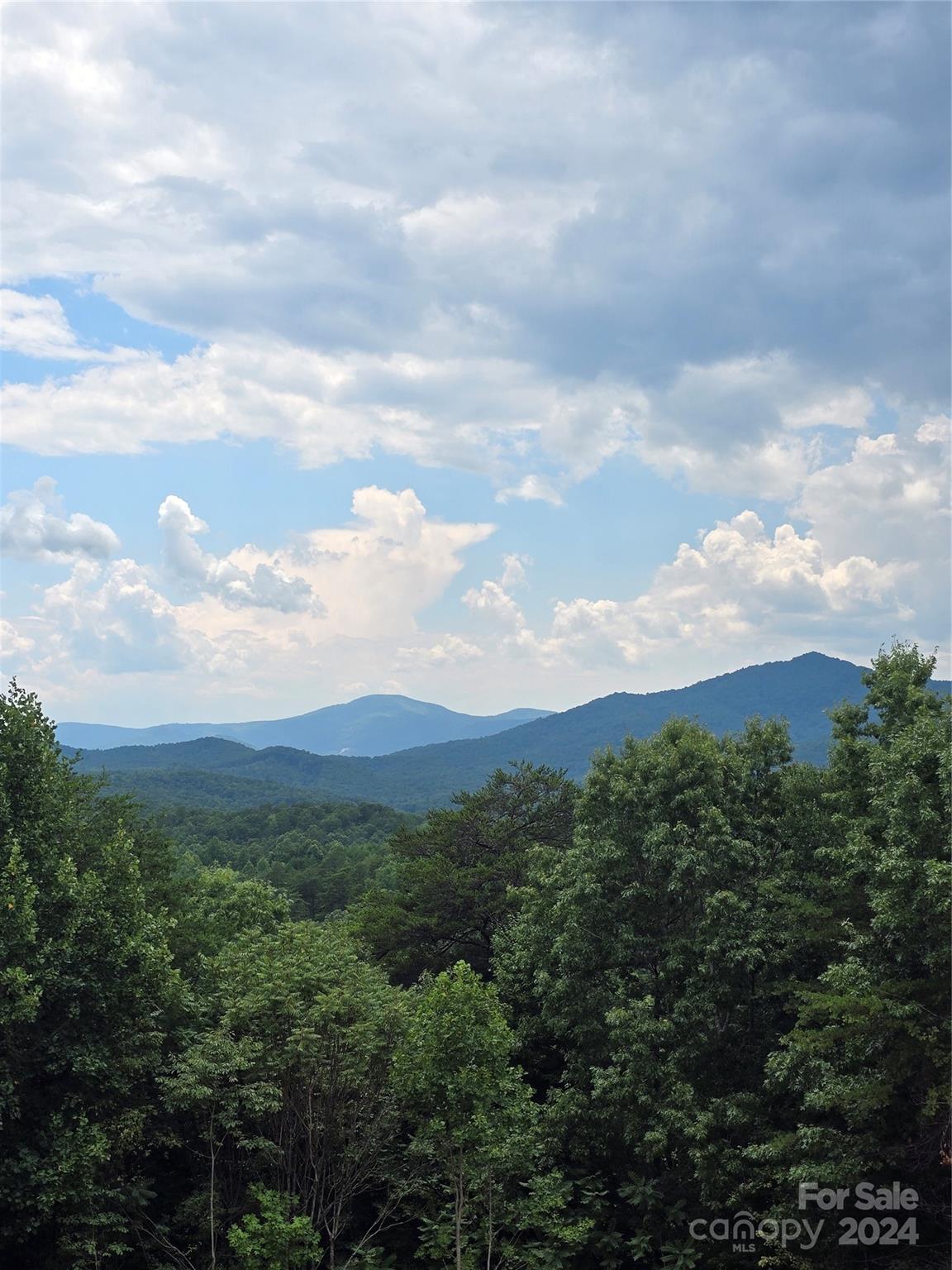 Residential in Lake Lure 3