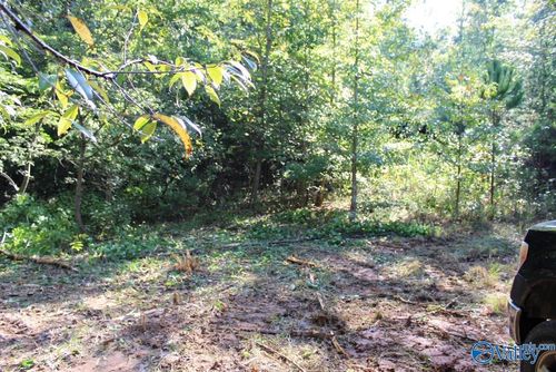 12.19 Jerry St Ne, Fort Payne, AL, 35967 | Card Image