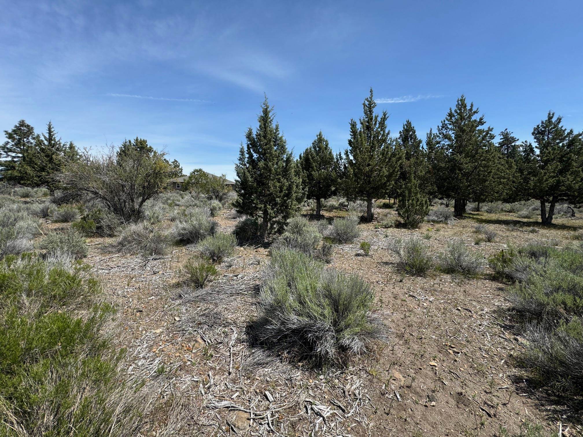 Land in Weed 5