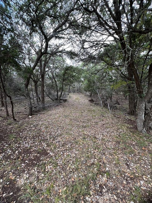 29 - 396 High Forest Dr, Home with 0 bedrooms, 0 bathrooms and null parking in Blanco TX | Image 4